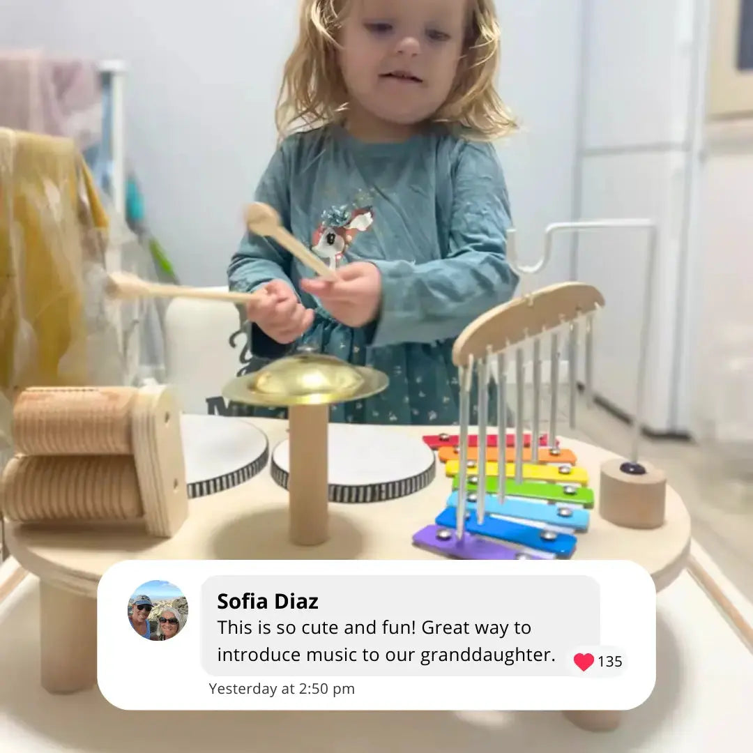 Montessori Drum Set Toddle Ready