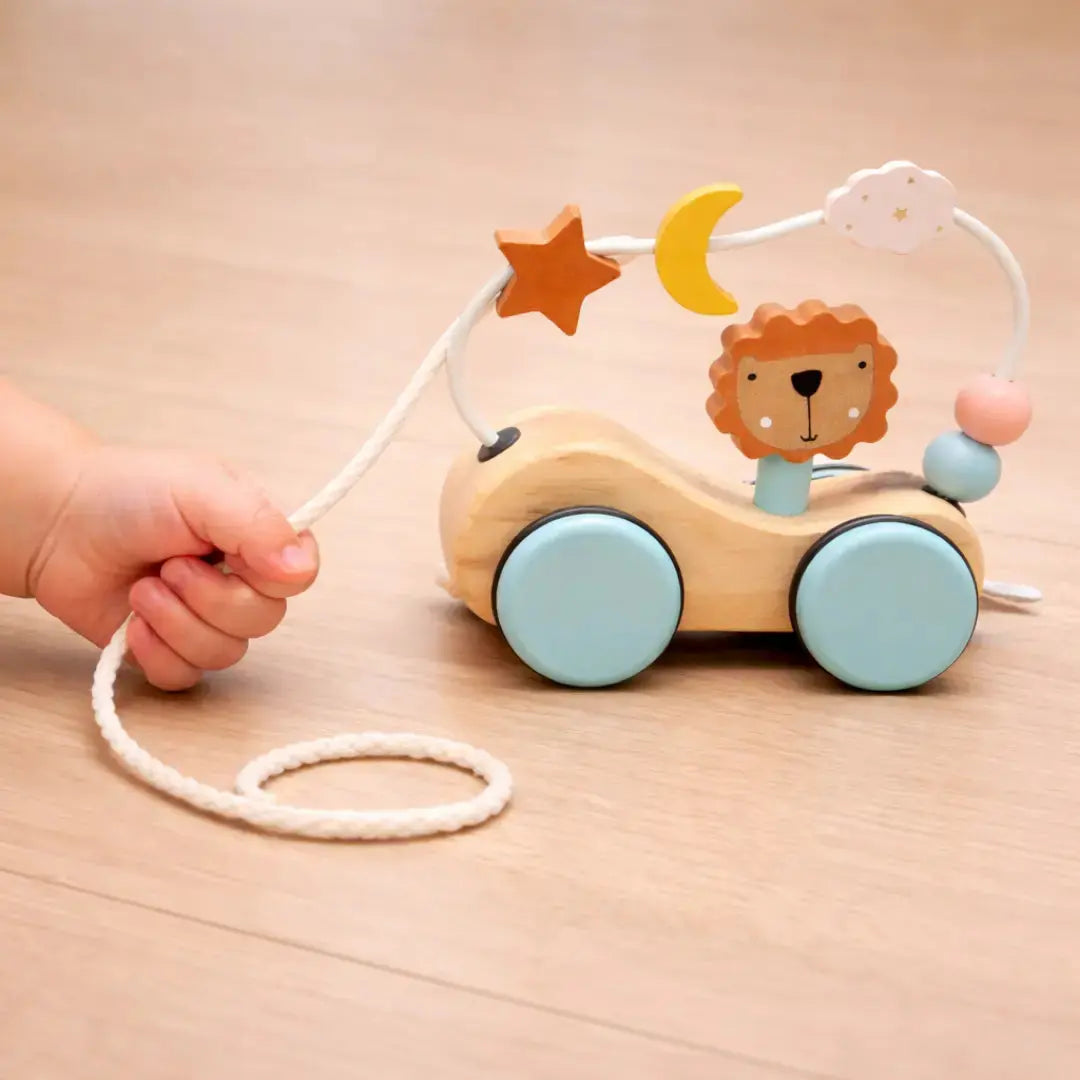 Pull & String Along Toddle Ready