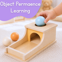 Montessori Object Permanence Box
