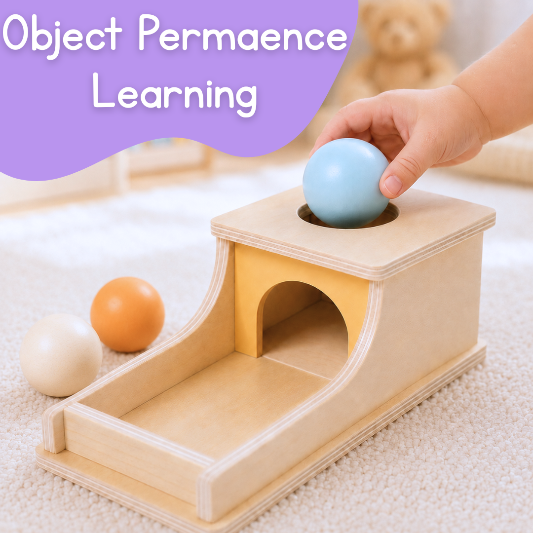 Montessori Object Permanence Box