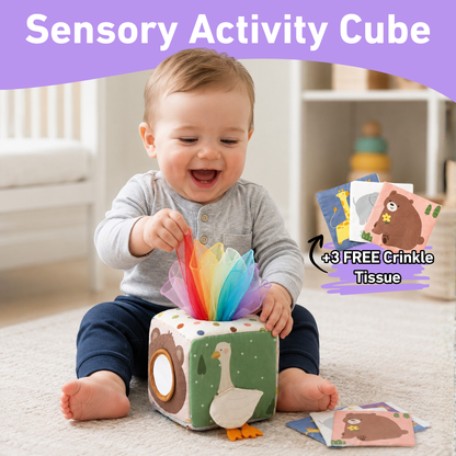 Montessori Tissue Box
