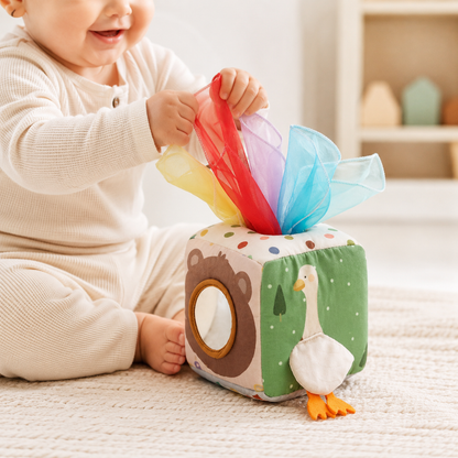 Montessori Tissue Box