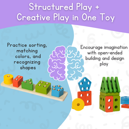 Montessori Shape Match