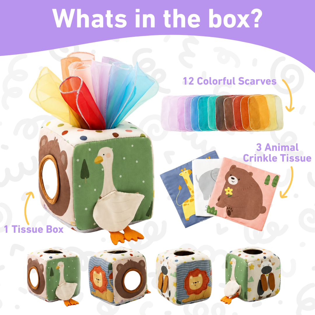 Montessori Tissue Box