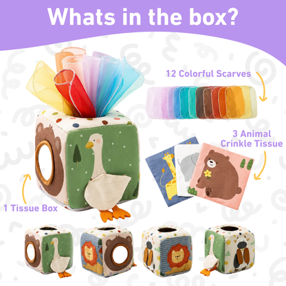 Montessori Tissue Box