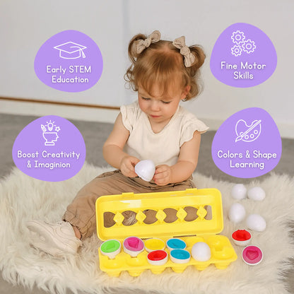 Montessori Geometric Eggs Toddle Ready