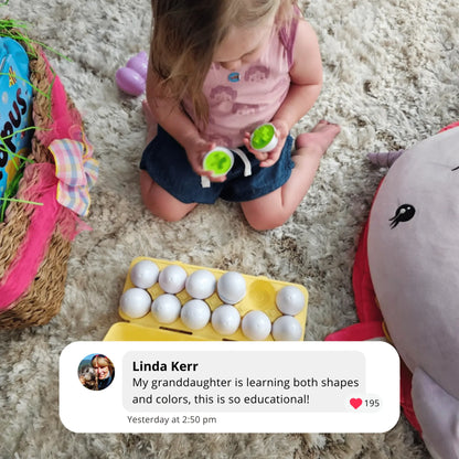 Montessori Geometric Eggs Toddle Ready