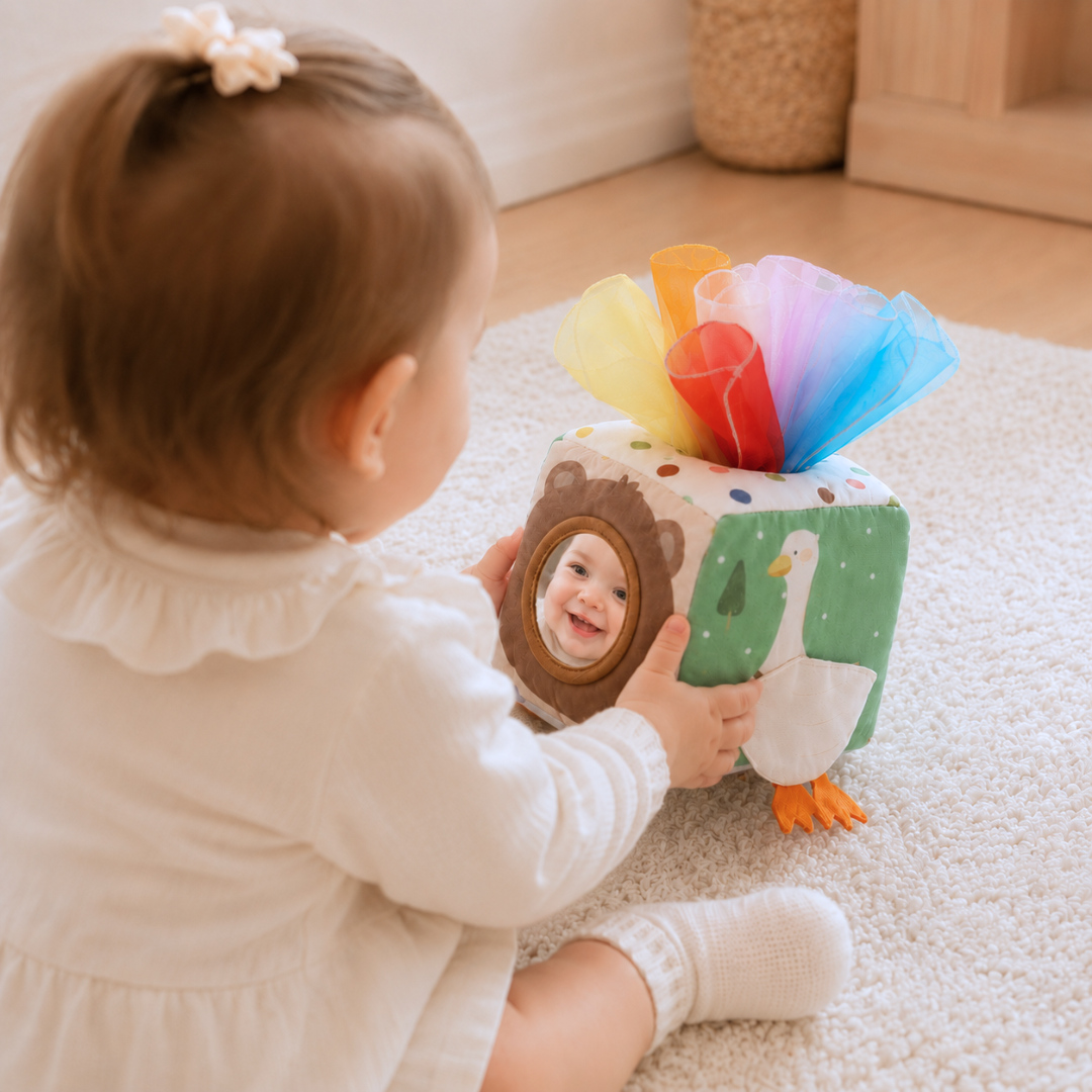 Montessori Tissue Box