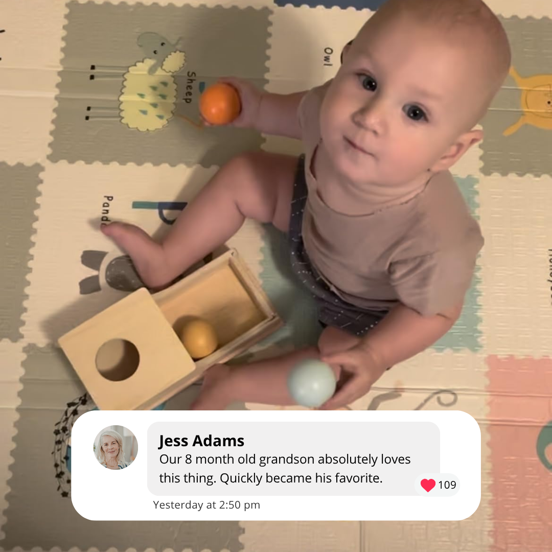 Montessori Object Permanence Box