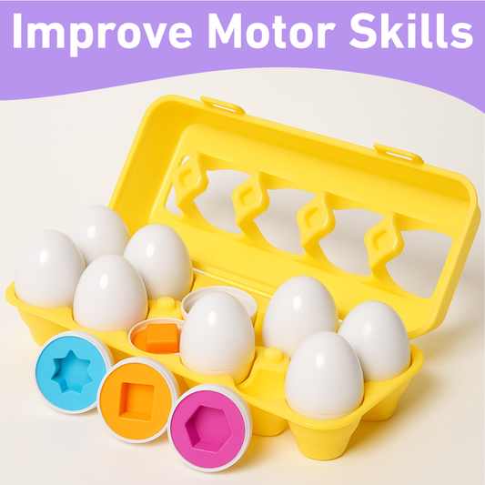 Montessori Geometric Eggs