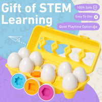 Montessori Geometric Eggs Toddle Ready