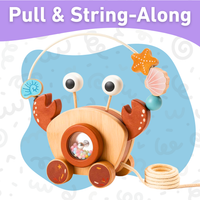Pull & String Along