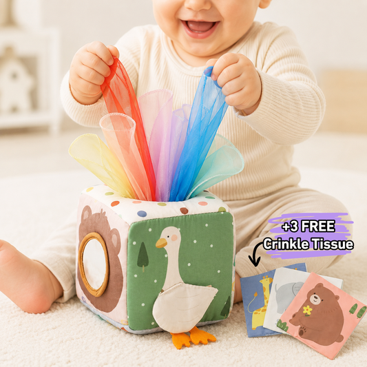 Montessori Tissue Box